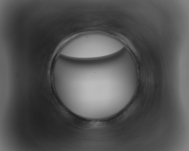 X0000100401176200806060848