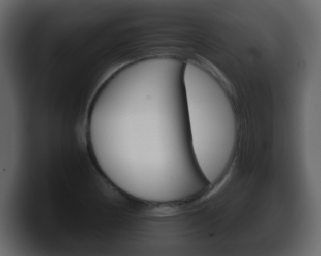 X0000100401178200806060848