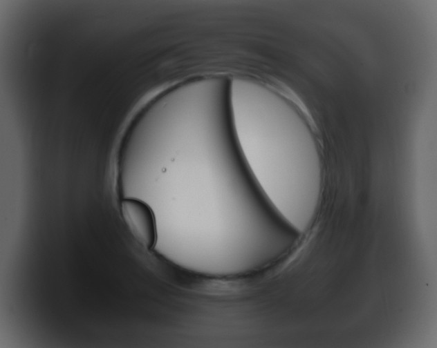 X0000100401179200806060848