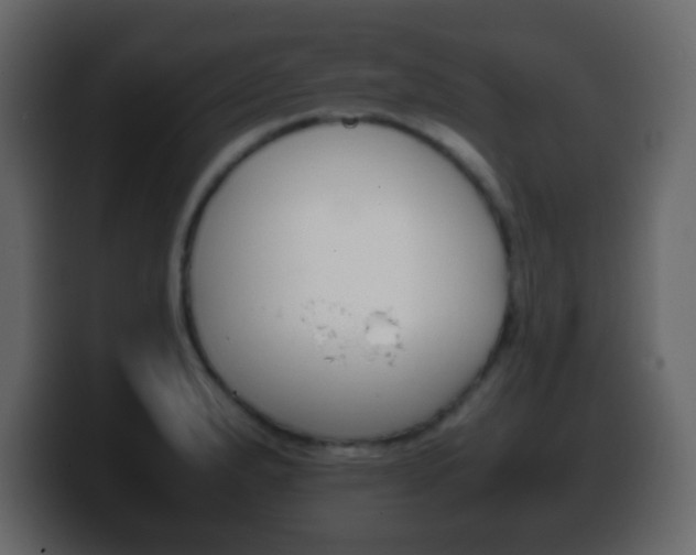 X0000100401183200806060848