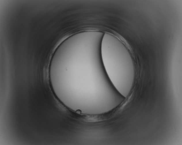 X0000100401194200806060848