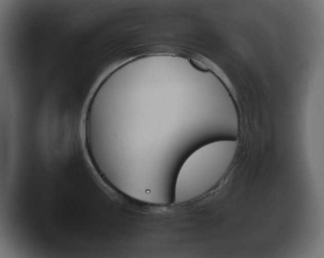 X0000100401195200806060848