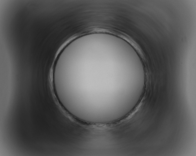 X0000100401198200806060848