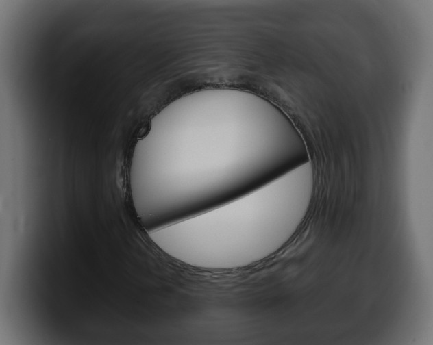 X0000100401202200806060847
