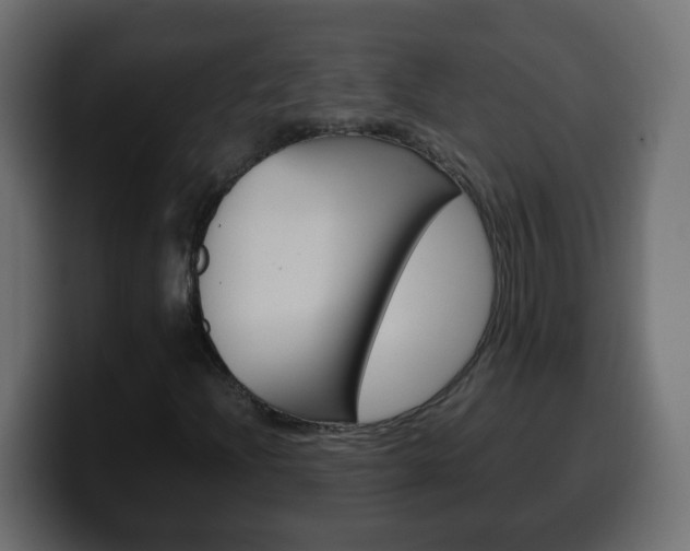 X0000100401204200806060847