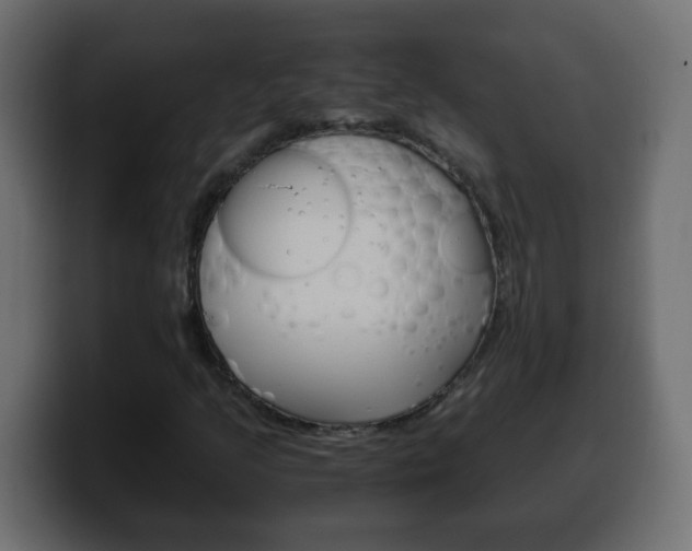 X0000100401205200806060847