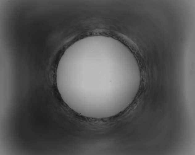X0000100401207200806060847