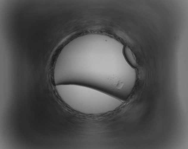 X0000100401208200806060847
