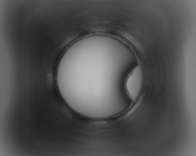 X0000100401209200806060847