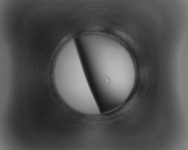X0000100401210200806060847