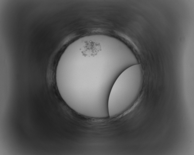 X0000100401211200806060847