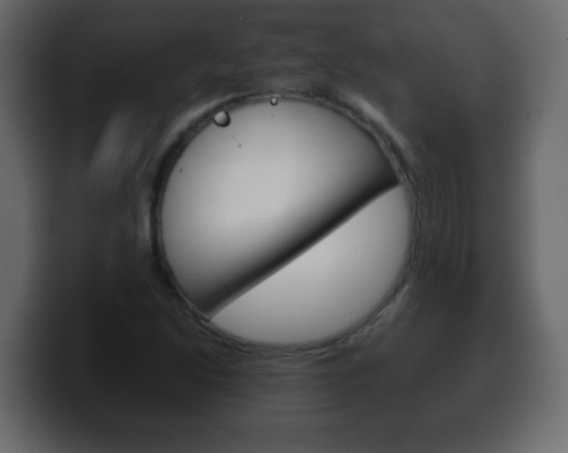 X0000100401214200806060847