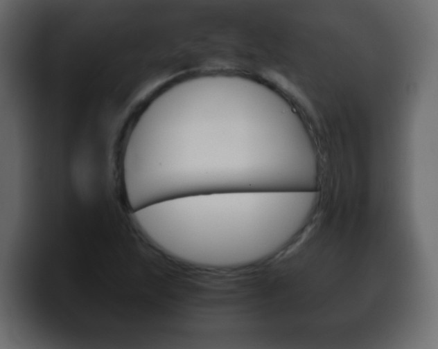 X0000100401215200806060847