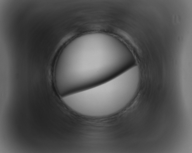 X0000100401218200806060847