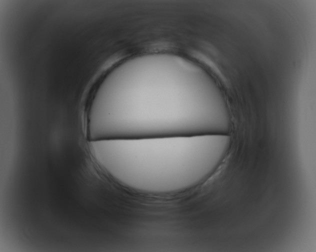 X0000100401219200806060847