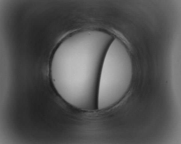 X0000100401220200806060847