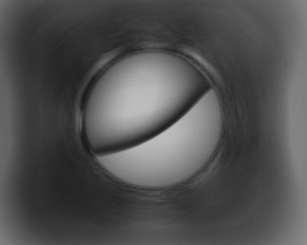 X0000100401221200806060847