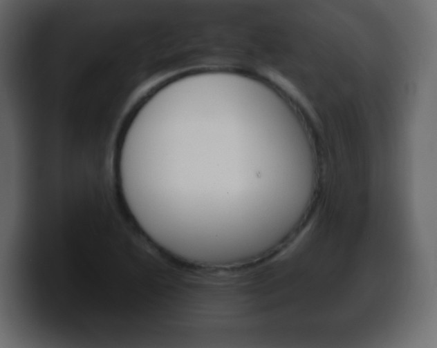 X0000100401222200806060847