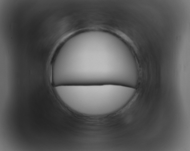 X0000100401223200806060847