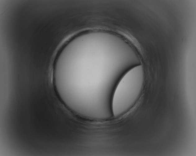 X0000100401224200806060847