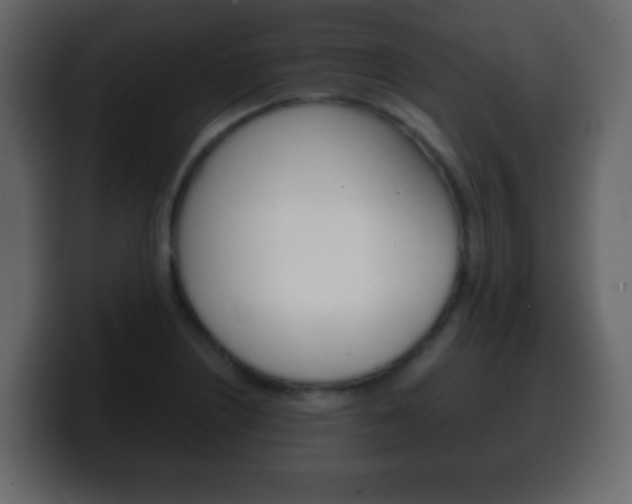 X0000100401226200806060847