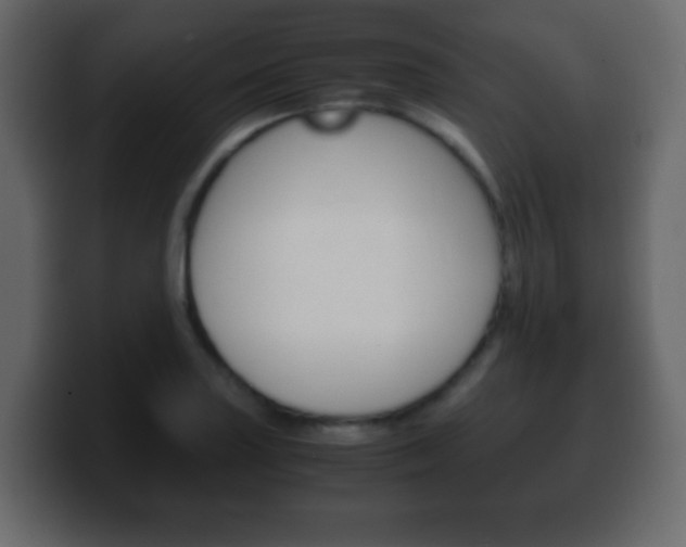 X0000100401227200806060847