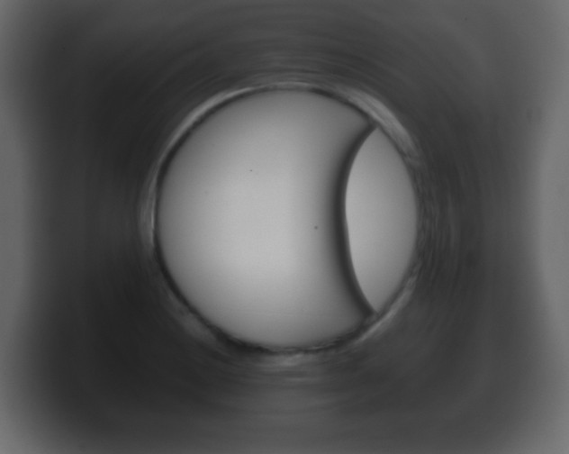 X0000100401228200806060847