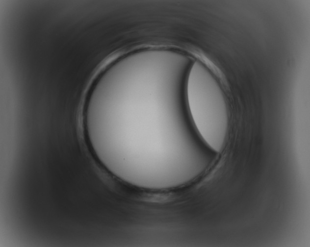 X0000100401229200806060847