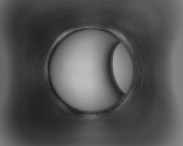 X0000100401230200806060847