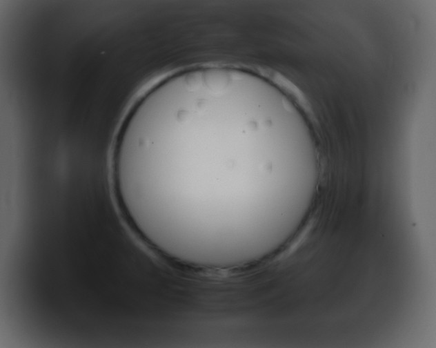 X0000100401231200806060847