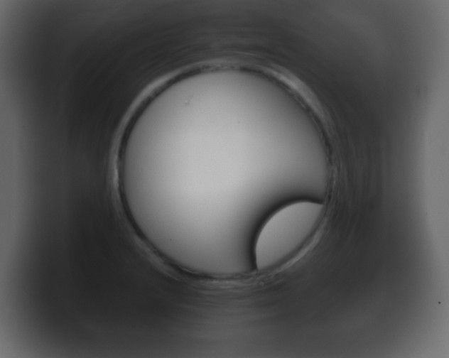 X0000100401232200806060847