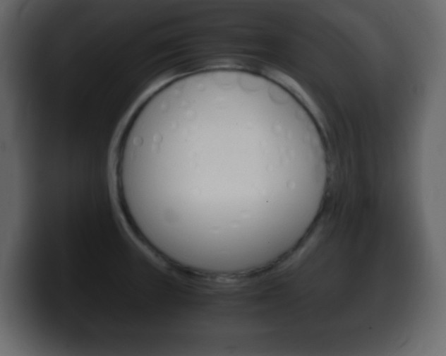 X0000100401235200806060847