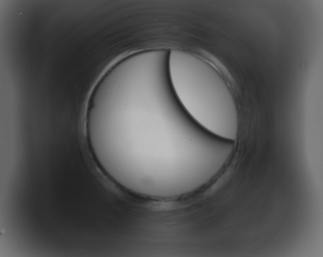 X0000100401236200806060847