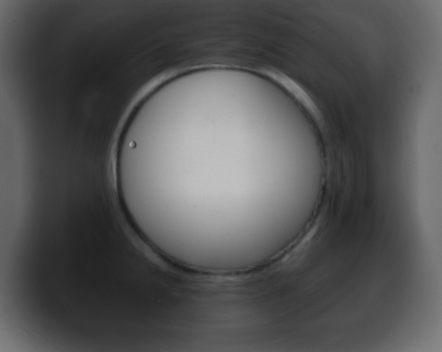 X0000100401238200806060847