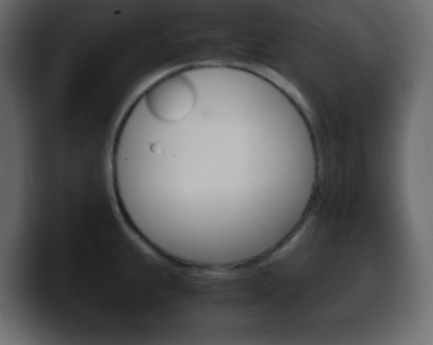 X0000100401239200806060847