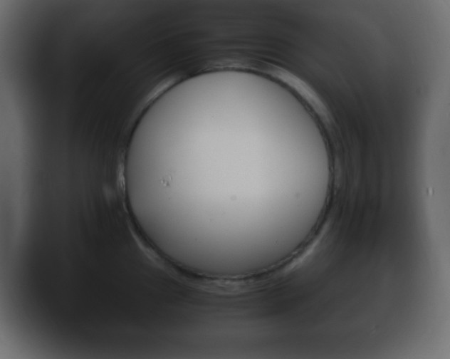 X0000100401241200806060847