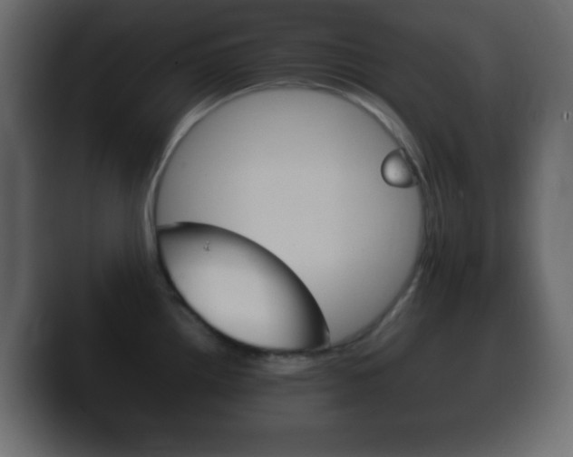 X0000100401242200806060847