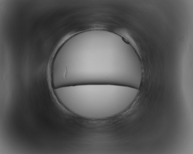 X0000100401243200806060848