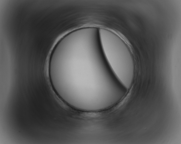 X0000100401246200806060848