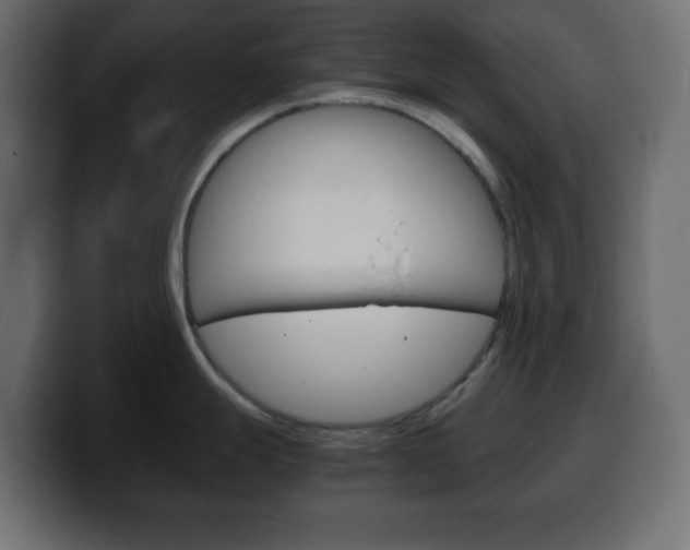 X0000100401247200806060848