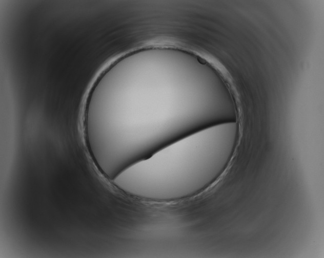 X0000100401248200806060848