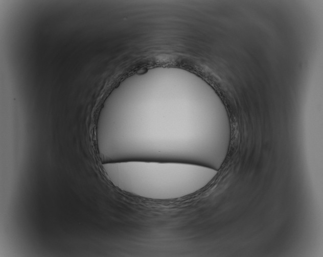 X0000100401249200806060847