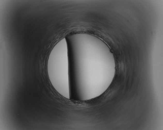 X0000100401250200806060847