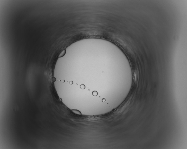 X0000100401251200806060847