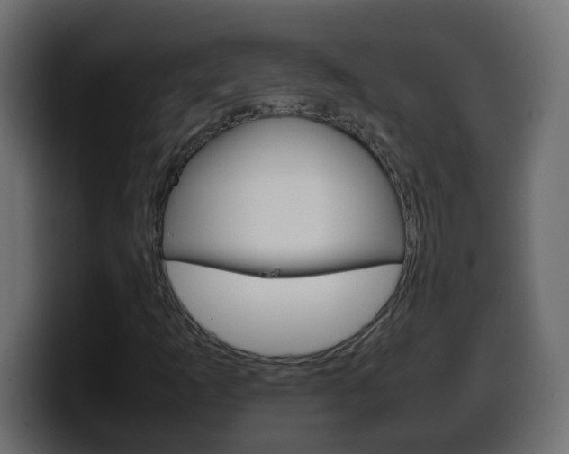 X0000100401253200806060847