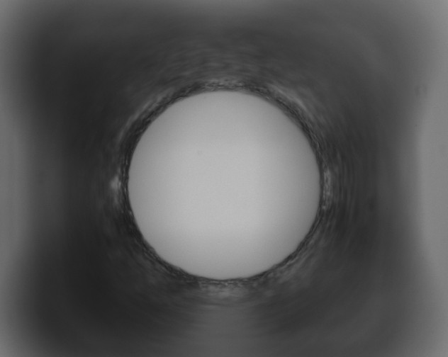 X0000100401254200806060847