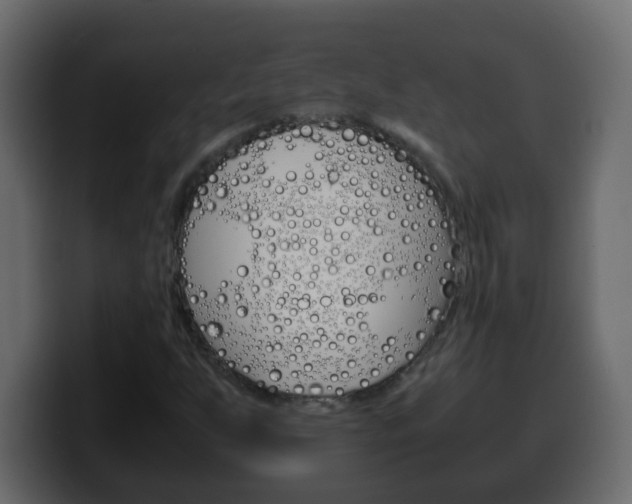X0000100401255200806060847