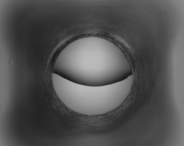X0000100401256200806060847