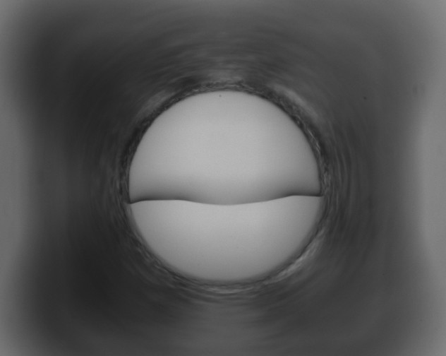X0000100401257200806060847