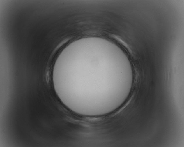X0000100401258200806060847